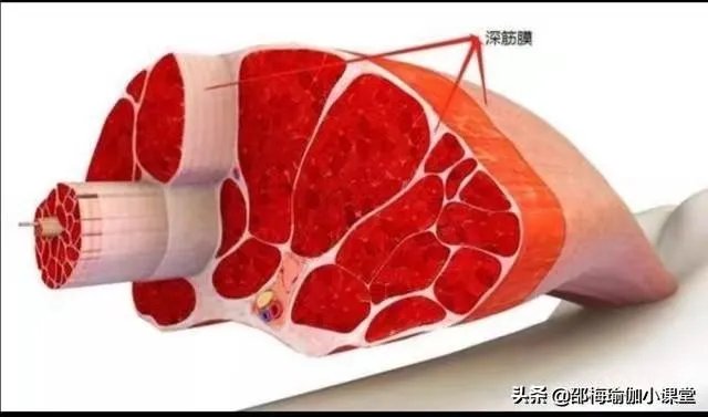 垫上普拉提和维密瑜伽哪个好