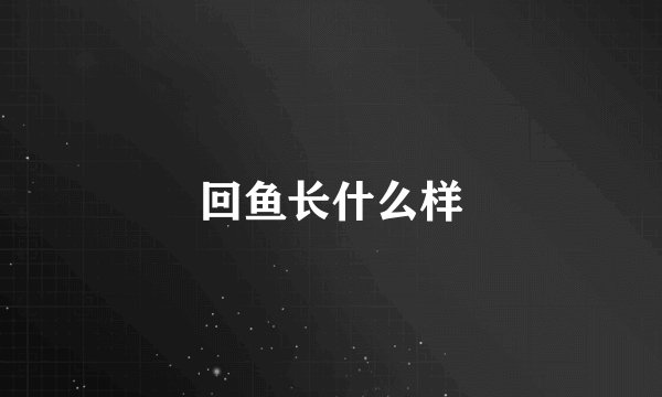 回鱼长什么样
