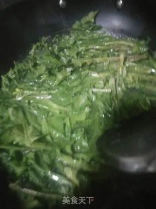 蒲公英