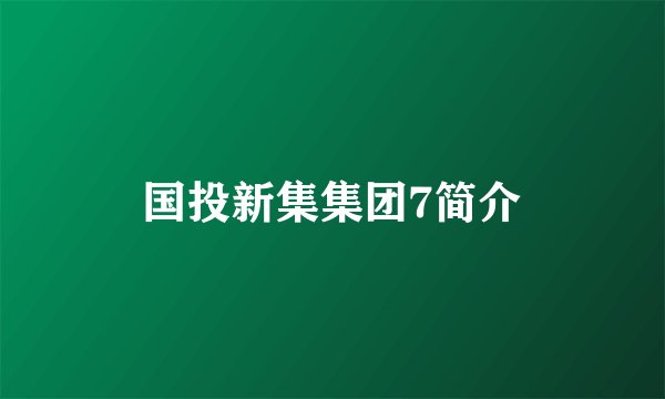 国投新集集团7简介