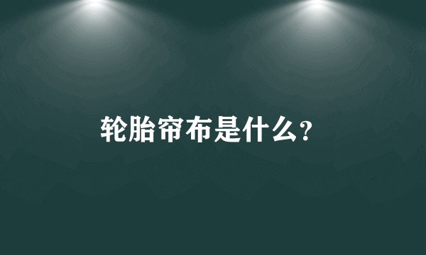 轮胎帘布是什么？