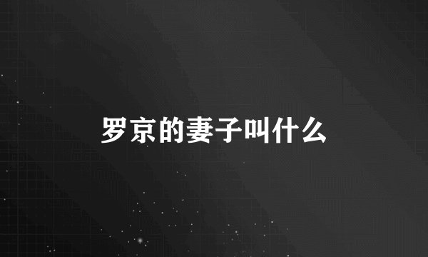 罗京的妻子叫什么