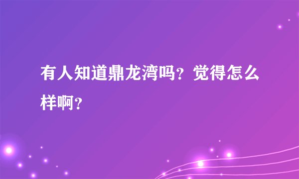 有人知道鼎龙湾吗？觉得怎么样啊？