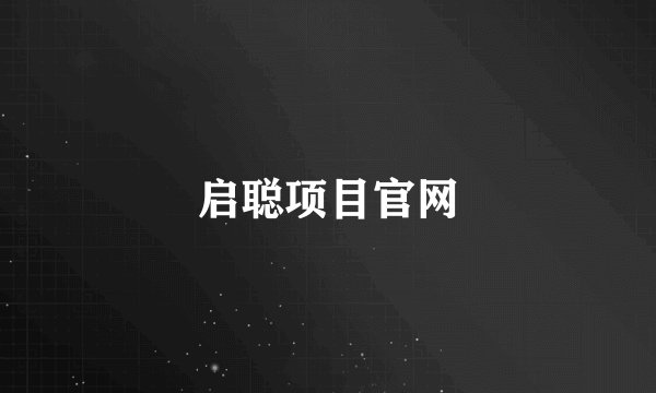启聪项目官网