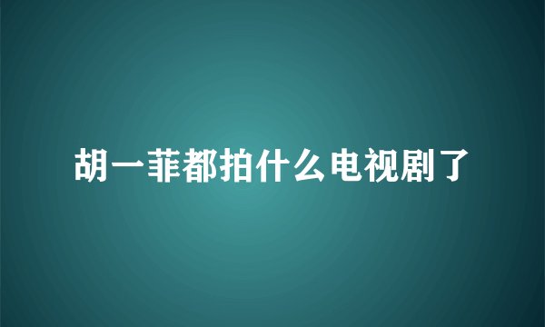 胡一菲都拍什么电视剧了