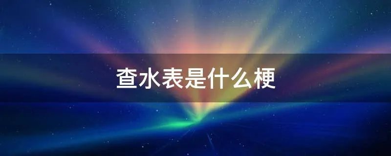 查水表是什么梗