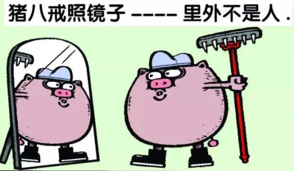 猪八戒照镜子—里外不是人，是什么意思？