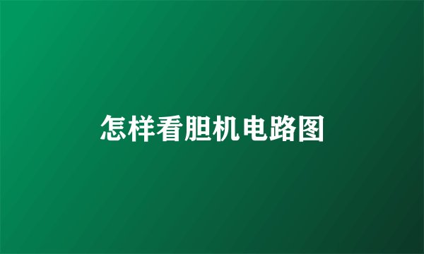 怎样看胆机电路图