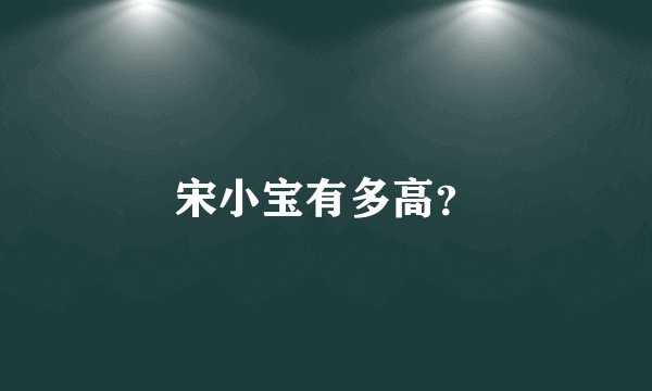 宋小宝有多高？