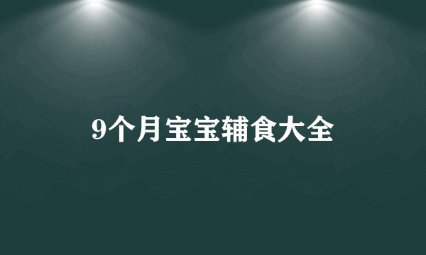 9个月宝宝辅食大全