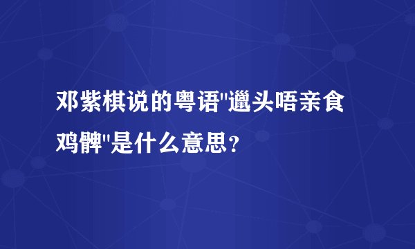 邓紫棋说的粤语