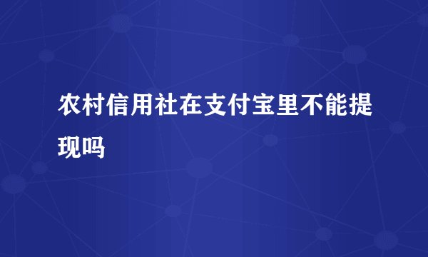 农村信用社在支付宝里不能提现吗