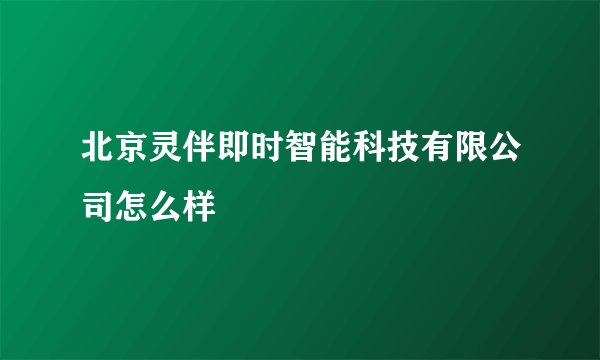北京灵伴即时智能科技有限公司怎么样
