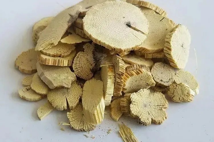 木通的图片