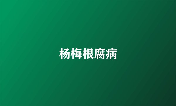 杨梅根腐病